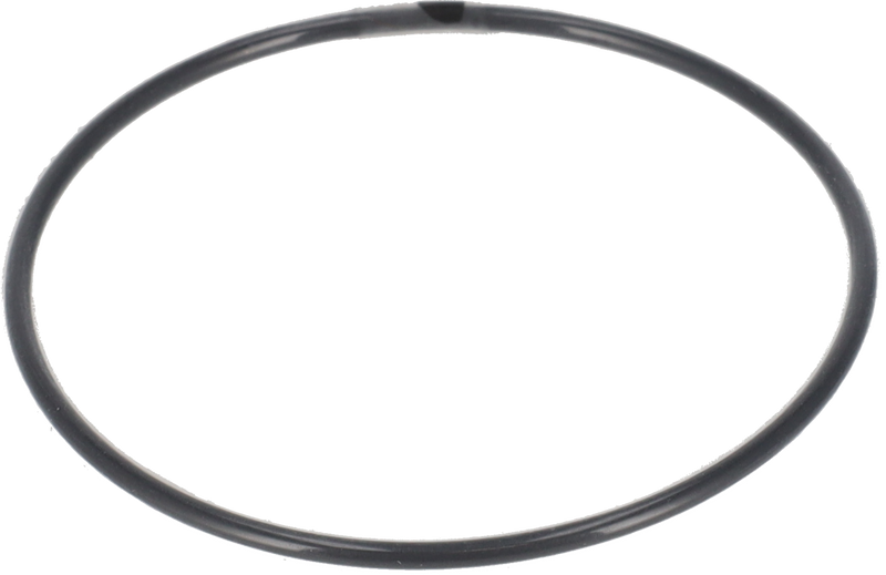 O-RING FPM/FEP
