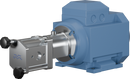 positive-displacement-pumps-m210-12-bsp-female-scsc-rpdmplain-motor-0.37-kw-960-rpm-d80-coupling-8010041087-left_medium.webp
