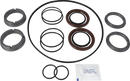 pumps-525354-flushed-seal-sicsic-fpm-8010007125-content_medium.webp