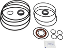 pumps-sicsic-flushed-shaft-seal-9611922672-content_medium.webp