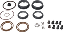 tank-equipment-gj-4-1gtft-minor-kit-viton-1gtftmin-kit-viton-9614667601-content_medium.webp