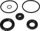 valves-service-kit-epdm-co-special-lip-seal-38nw40-9611920471-content_medium.webp