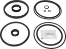 valves-service-kit-epdm-unique-double-seat-101.6dn100-plug-set-up-2-and-13-9611926338-content_medium.webp