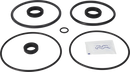 valves-service-kit-epdm-unique-double-seat-101.6dn100-plug-set-up-9-9611921747-content_medium.webp