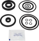 valves-service-kit-epdm-unique-double-seat-51dn50-plug-set-up-5-and-8-9611921647-content_medium.webp