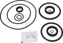 valves-service-kit-epdm-unique-double-seat-dn100-mix-with-dn125-150-plug-set-up-1-and-15-9611926233-content_medium.webp