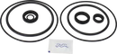 valves-service-kit-epdm-unique-double-seat-dn125-150-plug-set-up-9-9611926057-content_medium.webp
