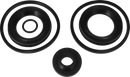 valves-service-kit-fpm-co-special-lip-seal-51nw50-9611920477-content_medium.webp