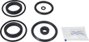 valves-service-kit-fpm-unique-double-seat-38dn40-plug-set-up-12-9611921826-content_medium.webp