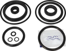 valves-service-kit-fpm-unique-double-seat-51dn50-plug-set-up-2-and-13-9611921586-content_medium.webp