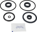 valves-service-kit-fpm-unique-double-seat-51dn50-plug-set-up-9-9611921755-content_medium.webp