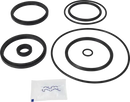 valves-service-kit-fpm-unique-double-seat-63.5-76dn65-80-mix-with-dn125-150-plug-set-up-12-9611926215-content_medium.webp