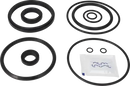valves-service-kit-fpm-unique-double-seat-63.5-76dn65-80-plug-set-up-3-and-16-9611921612-content_medium.webp