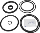valves-service-kit-hnbr-cp-3-1-12-valve-plug-set-up-20-9611928276-content_medium.webp