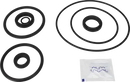 valves-service-kit-hnbr-unique-double-seat-101.6-dn100-mix-with-dn125-150-plug-set-up-9-9611926268-content_medium.webp