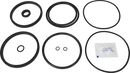 valves-service-kit-hnbr-unique-double-seat-101.6dn100-plug-set-up-4-and-14-9611926349-content_medium.webp