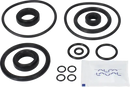 valves-service-kit-hnbr-unique-double-seat-51dn50-plug-set-up-7-9611921713-content_medium.webp