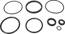 valves-service-kit-hnbr-unique-double-seat-63.5-76dn65-80-plug-set-up-10-and-11-9611921787-content_medium.webp