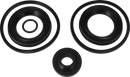 valves-service-kit-nbr-co-special-lip-seal-51nw50-9611920476-content_medium.webp