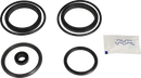valves-service-kit-nbr-unique-double-seat-51dn50-plug-set-up-12-9611921821-content_medium.webp